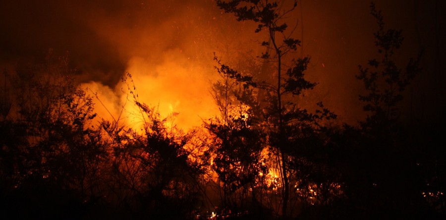 7 hectares de forêt brûlés à Fraisse (24)